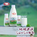 【牧場直送】ジャージー牛乳セット200ml×10本 送料無料 北海道 牧場直送 美瑛 ジャージー牛 ファームズ千代田 ノンホモナイズ