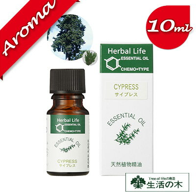 サイプレス 10ml