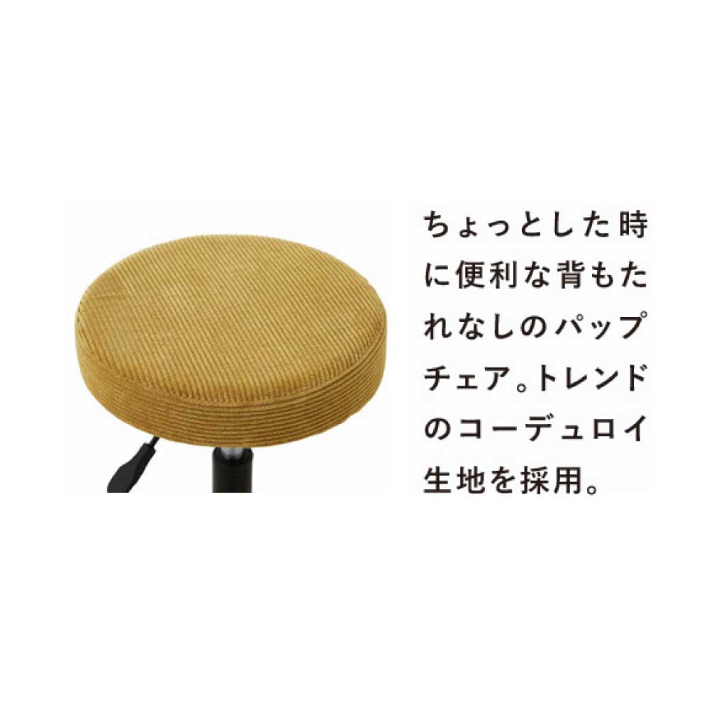 ����̵�������ߥ���������������å��塡������졡�͵����¤�������ץ롡�ػҡ�����󡡾��߰ػҡ������ǥ���������襤�����Ҷ������å���2�����ꡡ2�ӥ��å�