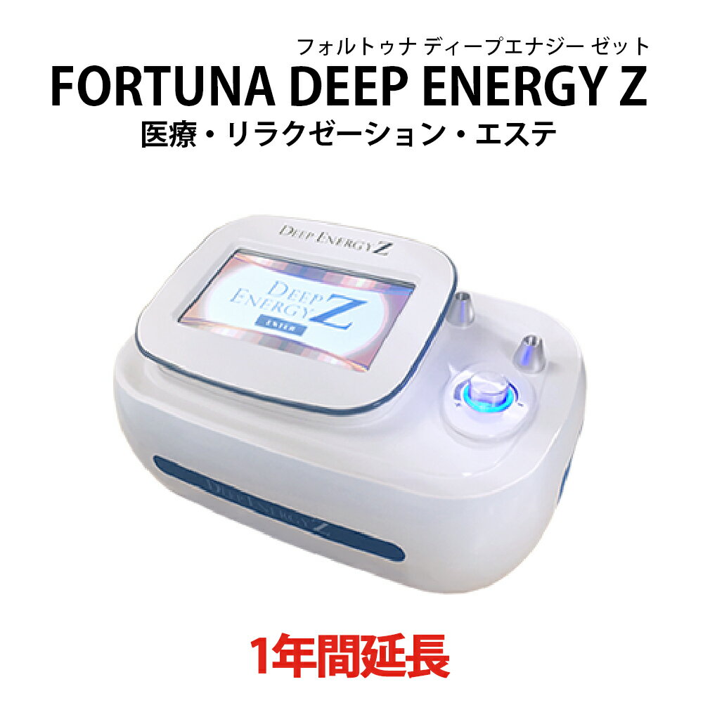 【レンタル】【1年間延長】FORTUNA DEEP ENERGY Z ダイエット エステ 複合機 家庭用 痩身 プロ仕様 ラジオ波 RF 美容機器 エステサロン プロ用 機器 美容 振動マシン 仙骨 フレックス ディープ エナジー