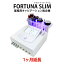 【レンタル】【1ヶ月延長】FORTUNA SLIM 業務用キャビテーション ダイエット エステ 本格 業務用マシン ダイエットサポート キャビテーション+ラジオ波+トーニング+EMS 4つの機能を1台で 美顔器 PL保険付き