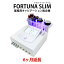 【レンタル】【6ヶ月延長】FORTUNA SLIM 業務用キャビテーション ダイエット エステ 本格 業務用マシン ダイエットサポート キャビテーション+ラジオ波+トーニング+EMS 4つの機能を1台で 美顔器 PL保険付き