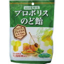山田養蜂場 プロポリスのど飴 72g