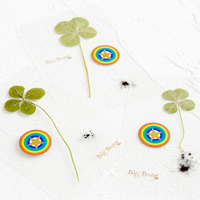 【限定数量】 隕石王子 謹製 宇宙パワー 四葉のクローバー カード クローバー グッズ 四つ葉のクローバー アイテム スピリチュアル グッズ ハンドメイド 手作り プレゼント ギフト お返し プチギフト 贈り物 誕生日 記念日 お祝い 【送料無料】のサムネイル