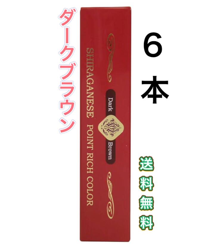 6本　ビアント 部分用白髪染め シラガネーゼ ポイントリッチカラー ダークブラウン 20g　スティック　持ち歩き　赤　簡単　女性