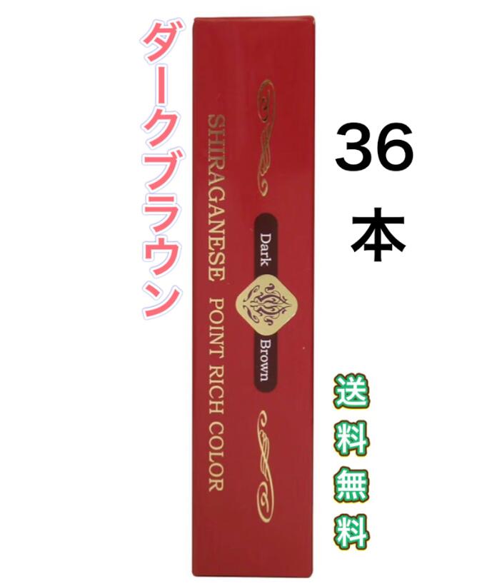 24本　ビアント 部分用白髪染め シラガネーゼ ポイントリッチカラー ダークブラウン 20g　スティック　持ち歩き　赤　簡単　女性