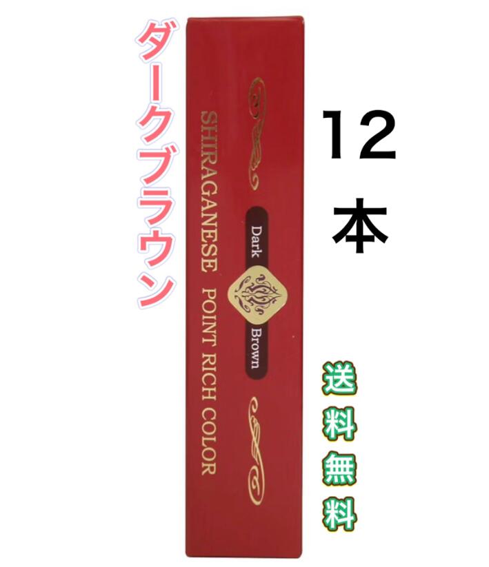 12本　ビアント 部分用白髪染め シラガネーゼ ポイントリッチカラー ダークブラウン 20g　スティック　持ち歩き　赤　簡単　女性