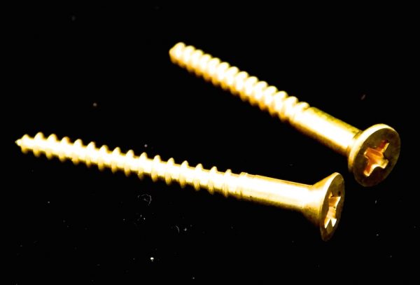 ◆Claw Springs Brass Screws (2)：ブラス製クロー（ハンガー）固定スクリュー（2本セット） クローを固定するスクリューもサウンドに影響します。ブラスを採用したことにより、弦振動をボディに的確に伝達します。 プロが愛用するその品質をぜひお試しください。殆どのトレモロキャビティに使用できます。 ※在庫が無い場合はお取り寄せにお時間を頂く場合がございます。[ご注意！]こちらはOriginal Floyd Rose専用パーツです。 Floyd Rose Licencedのブリッジには基本的にご使用出来ません。もしご使用なさるときは自己責任でお願いします。