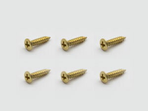 【ESP Parts】ウラパネルビス 2.6x12 SET (6) Gold　ゴールド 6本セット [お取り寄せ]