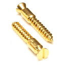 yFloydRose Original PartszOriginal Bridge Mounting Wood Screws -Gold- [tCh[Yp[c][KAi][]