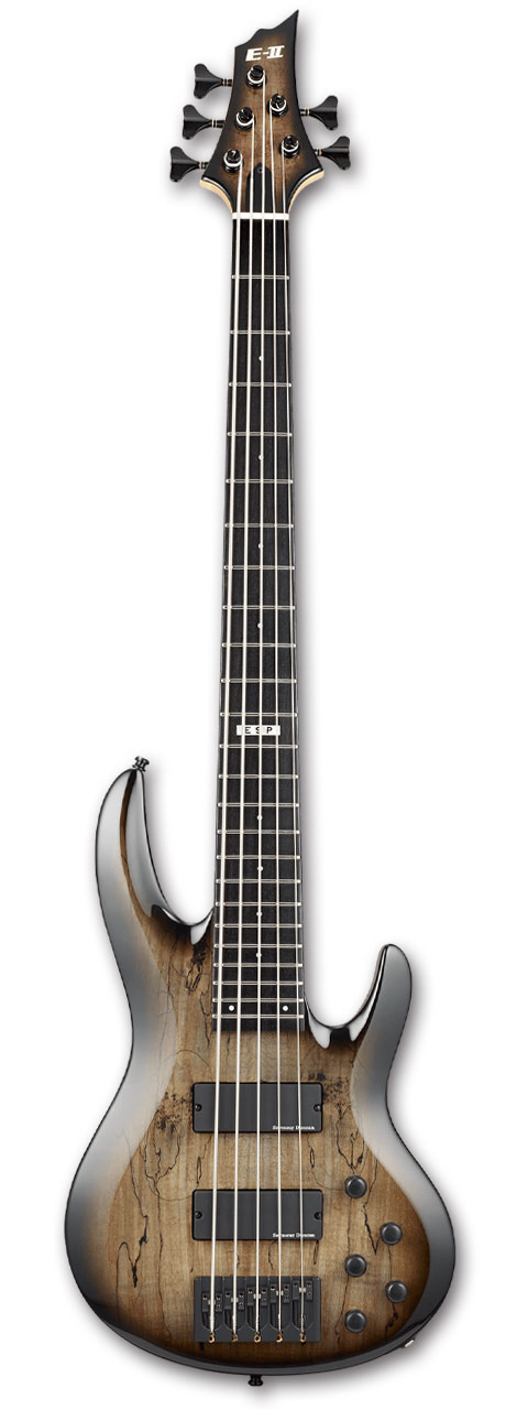 E-II BTL-5 Black Natural Burst