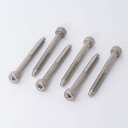 【FloydRose Original Parts】Stainless String Lock Screws (Set of 6) フロイドローズ純正パーツ 正規輸入品 お取り寄せ