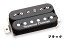 Seymour Duncan APH-2n Alnico II Pro SLASH [⥢󥫥][ϥХå][ͥå][ԥåå][]