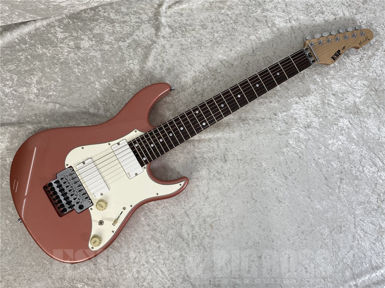 【藤岡幹大モデル】ESP SNAPPER-7 Fujioka Custom [イーエスピー][エレキギター][7弦] [メンテナンス無料] そおく