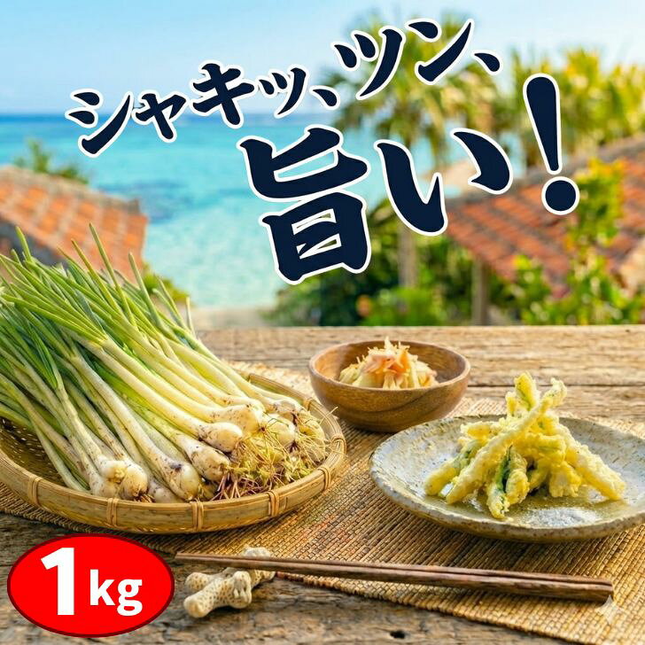 【 SS限定20%OFF 】島らっきょう 1kg 沖縄 伊江島産 氷温育成 鮮度抜群 土付き 湧水育 ...