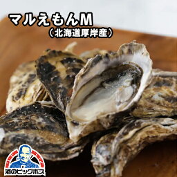 大田市場直送 山小三 殻付き 生食 かき カキ オイスター 国内産真牡蠣 北海道厚岸 マルえもんM 1個 クール便