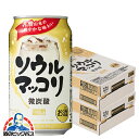 【5/1★全品ポイント3倍】【本州のみ 送料無料】チューハイ サワー サントリー ソウルマッコリ 350ml×2ケース/48本《048》『SYB』