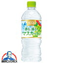 マスカット天然水 送料無料 サントリー天然水 香る 滴る マスカット 540ml×1ケース/24本《024》『GCC』ZZ