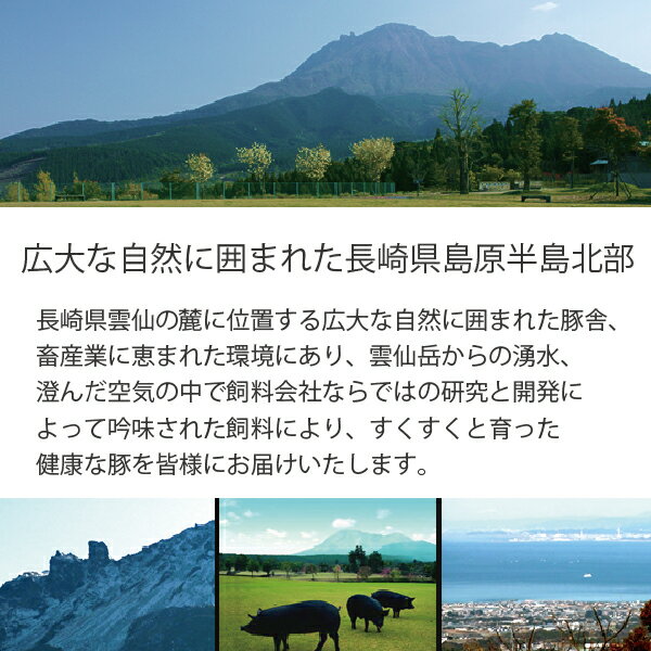 ハム ギフト セット 詰め合わせ 長崎 雲仙 国産 冷蔵直送 送料無料 にくせん NPG-18 おつまみセット詰め合わせ セット『NKS』 ギフトセット 食品 詰合せ 詰め合わせ ハム詰め合わせ ハムギフト 出産祝い 内祝い 誕生日 雲仙ハム 3