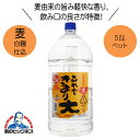 本格麦焼酎 これできまり大 25度 5000ml 5L 鹿児島県 若松酒造 『HSH』