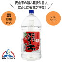 本格麦焼酎 これできまり大 20度 5000ml 5L 鹿児島県 若松酒造 『HSH』
