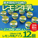ギフト アイスクリーム 送料無料 {レモン牛乳アイス12個セット} 冷凍便『YWS』