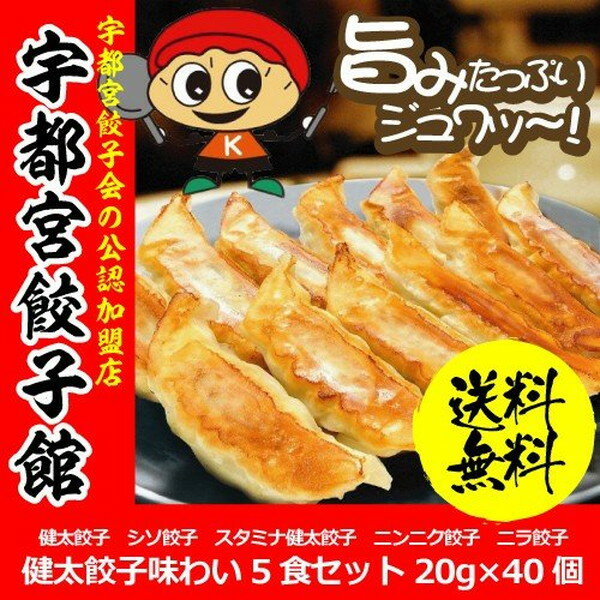 餃子 ぎょうざ ギフト 送料無料 宇都宮餃子館 健太 味わい5色セット 20g×40個 食品・冷凍品 メーカー直送 さくら食品