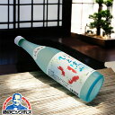 【2本セット】【本州のみ 送料無料】夏酒 日本酒 大吟醸 名城酒造 ひと涼み しぼりたて大吟醸酒 720ml×2本《002》『OMS』