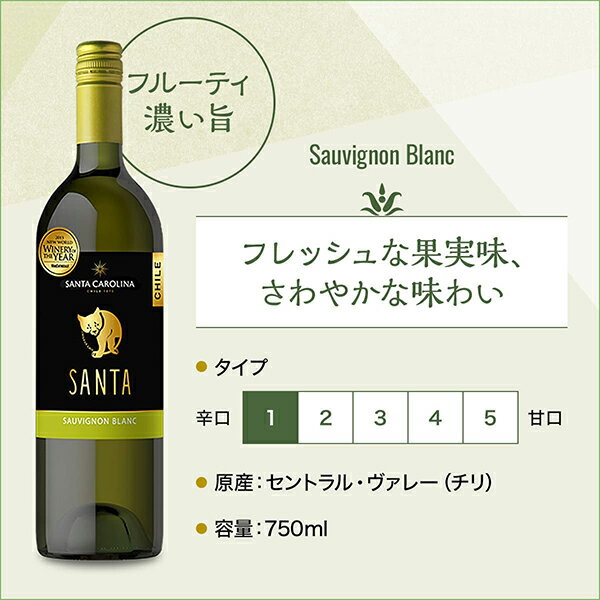 白ワイン チリワイン サントリー サンタ バイ サンタ カロリーナ ソーヴィニヨン・ブラン 2020 750ml×1本『FSH』 2