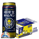 チューハイ 酎ハイ サワー コカ コーラ社 檸檬堂 定番レモン ホームランサイズ 500ml×1ケース/24本《024》