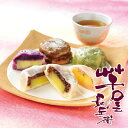 \18・19・20は感謝デー★全品P3倍/ 父の日 プレゼント 2025 送料無料 ギフト スイーツ 熊本「芋屋長兵衛」熊本いきなり団子5種15個セット 冷凍便 3170018『SKT』 詰め合わせ お取り寄せグルメ セット 誕生日 お祝い 内祝い お中元 父の日