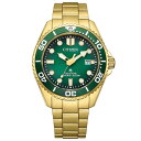【当選確率1/2ポイントバックCP】CITIZEN PRO MASTER シチズン プロマスター MARINEシリーズ ダイバーズ エコドライブ 200m潜水用防水 メンズ腕時計 BN0262-59W