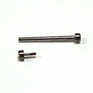 2セットカシオバンド留め具ネジ10162502/10192328