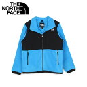 THE NORTH FACE DENALI JACKET 2 ノースフェイス デナリ ジャケット マウンテンパーカー アウター メンズ ブルー NF0A3XAU