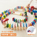 ジェニ GENI ドミノ 積み木 ドキドキドミノ 3歳から 知育玩具 おもちゃ 木のおもちゃ エドインター GENI ジェニ 男の子 女の子 800386