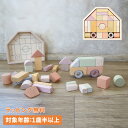 ジェニ GENI 積み木 つみきのいえM 1歳半から 知育玩具 おもちゃ 木のおもちゃ エドインター GENI ジェニ 男の子 女の子 日本製 809532