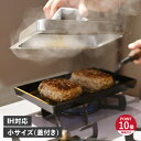 【特典付き】 大人の鉄板 鉄板 グリル 厚板 小 蓋付き IH ガス対応 鉄 日本製 オークス OTS8100