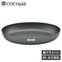 COCOpan 極SONS ココパン フライパン プレミアムステーキ IH ガス対応 鉄 リバーライト C108-001 アウトドア