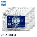 【最大1000円OFFクーポン配布中】 cooler shock クーラーショック 保冷剤 Lサイズ 3個セット 長時間 ジェル アイスパック 保冷パック 氷点...