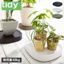 tidy PLANTABLE ティディ プランタースタンド 鉢皿 鉢台 プランタブル 屋内 キャスター付き ブラック ホワイト ブラウン 黒 白 OT-668-100