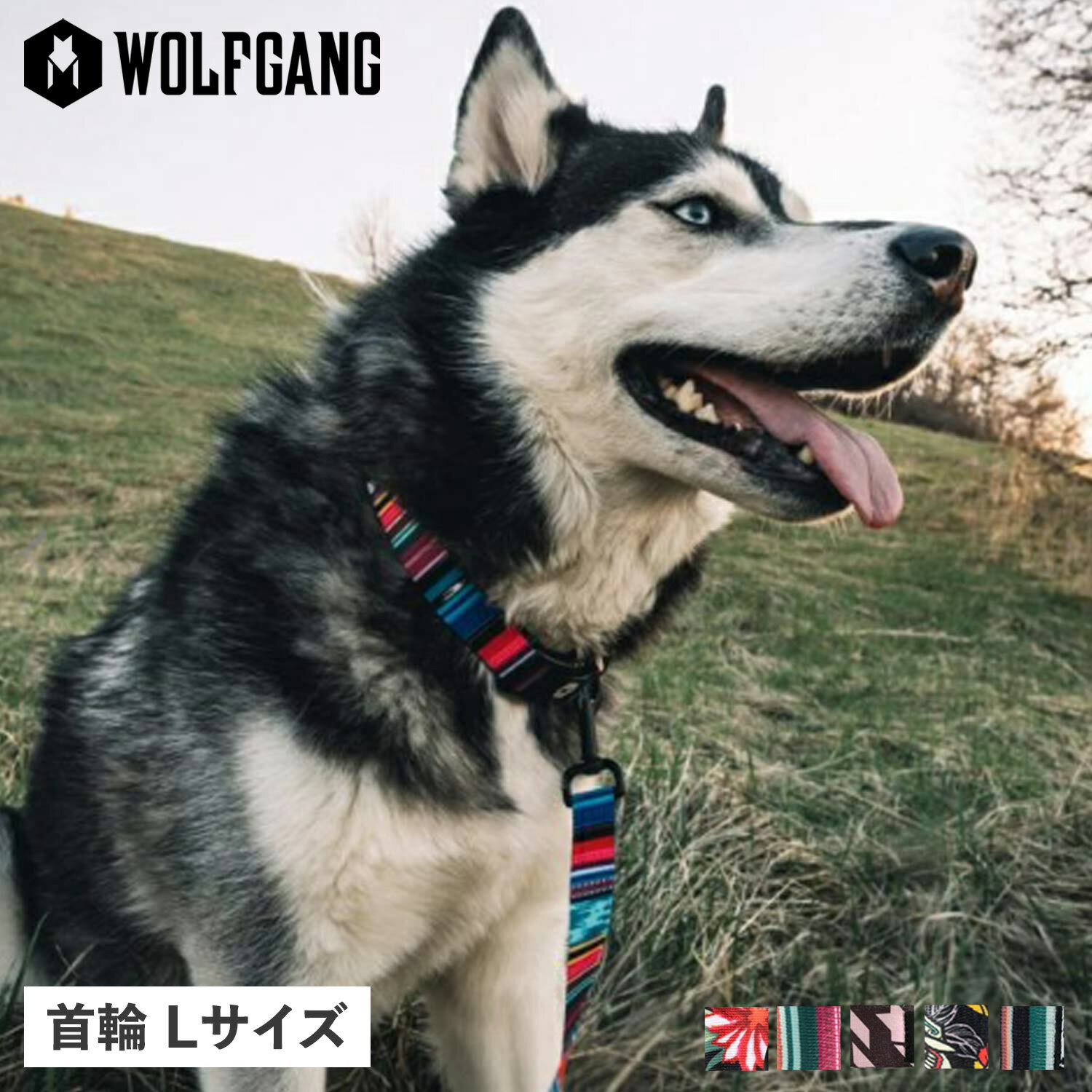 WOLFGANG COLLAR ウルフギャング 首輪 大型犬 Lサイズ マルチカラー