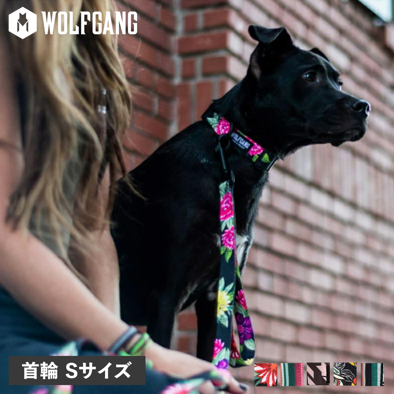 WOLFGANG COLLAR ウルフギャング 首輪 小型犬 Sサイズ マルチカラー