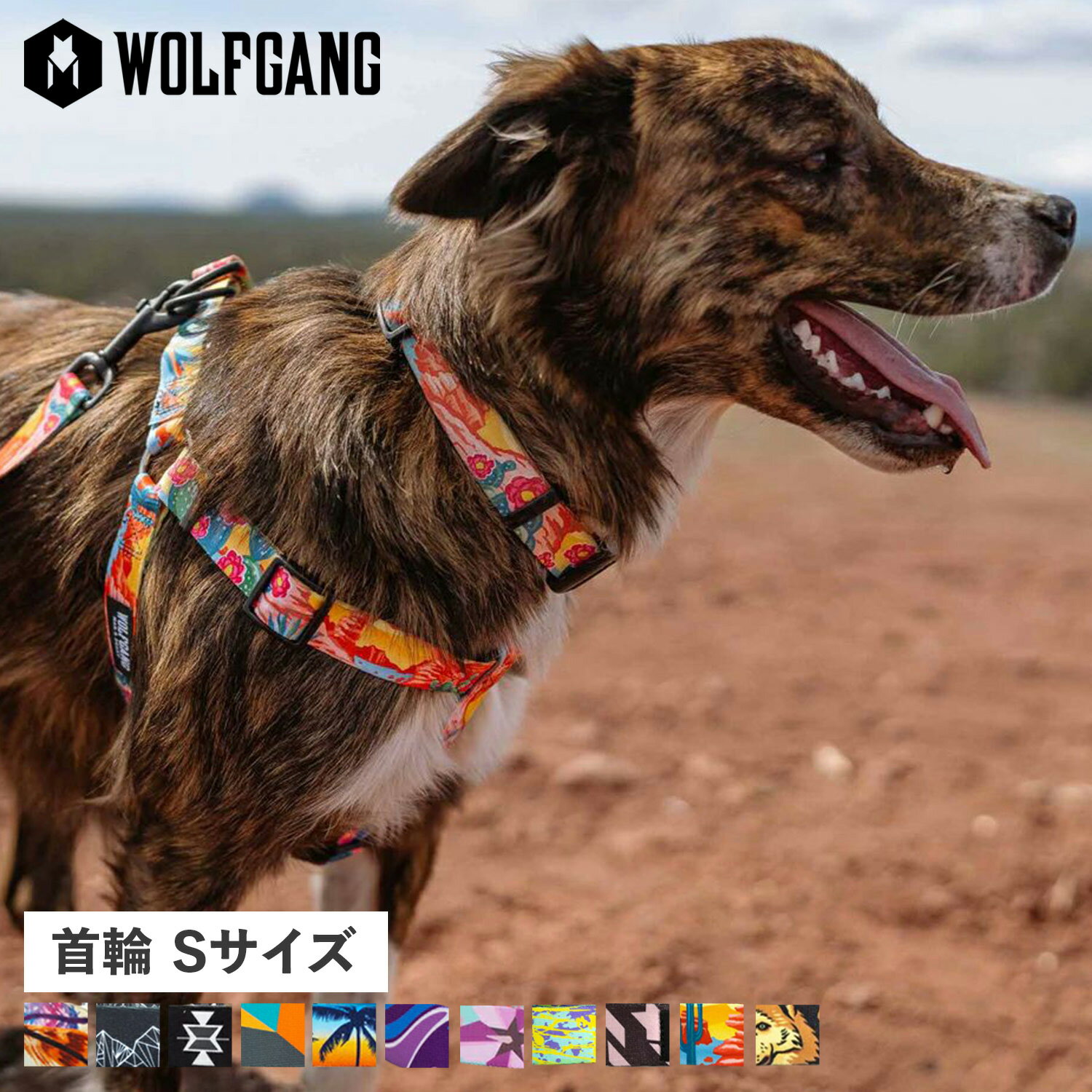 WOLFGANG COLLAR ウルフギャング 首輪 小型犬 Sサイズ マルチカラー