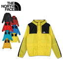 THE NORTH FACE 1985 SEASONAL MOUNTAIN JACKET ノースフェイス マウンテンジャケット アウター メンズ 防寒 NF00CH37