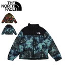 楽天inglewood Beauty【最大1000円OFFクーポン配布中】 THE NORTH FACE PRINTED 1996 RETRO NUPTSE JACKET ノースフェイス ダウン ジャケット アウター レトロ ヌプシ プリンテッド メンズ 防寒 NF0A5IX49