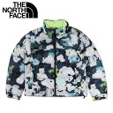 THE NORTH FACE 1996 RETRO NUPTSE JACKET ノースフェイス ダウン ジャケット アウター ヌプシ 1996 レトロ レディース 防寒 マルチ NF0A3XEO