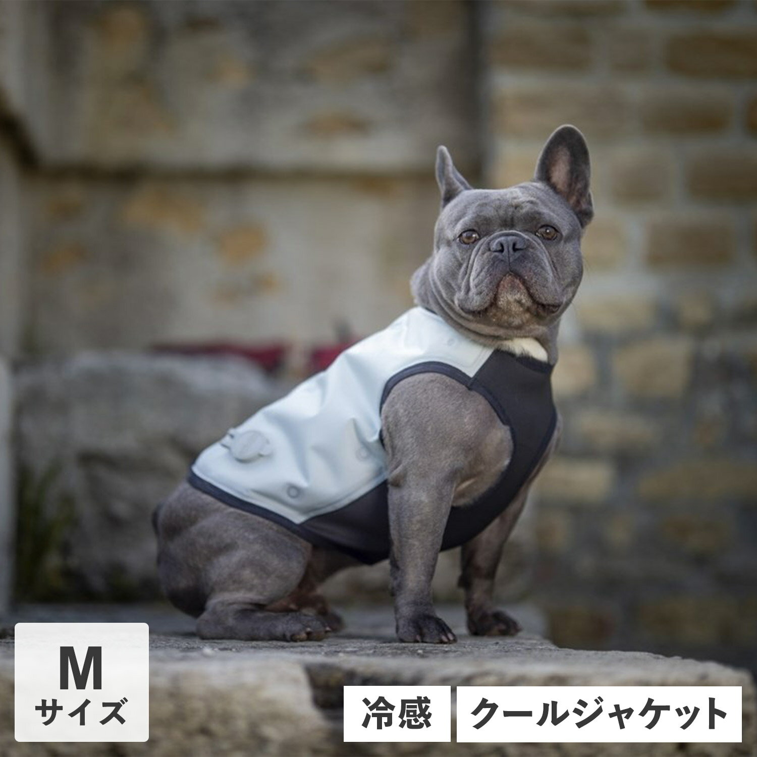 CANI COOL カニクール 犬 ひんやり グッズ 夏服 ドッグウェア Mサイズ 散歩 保冷 冷感 ...