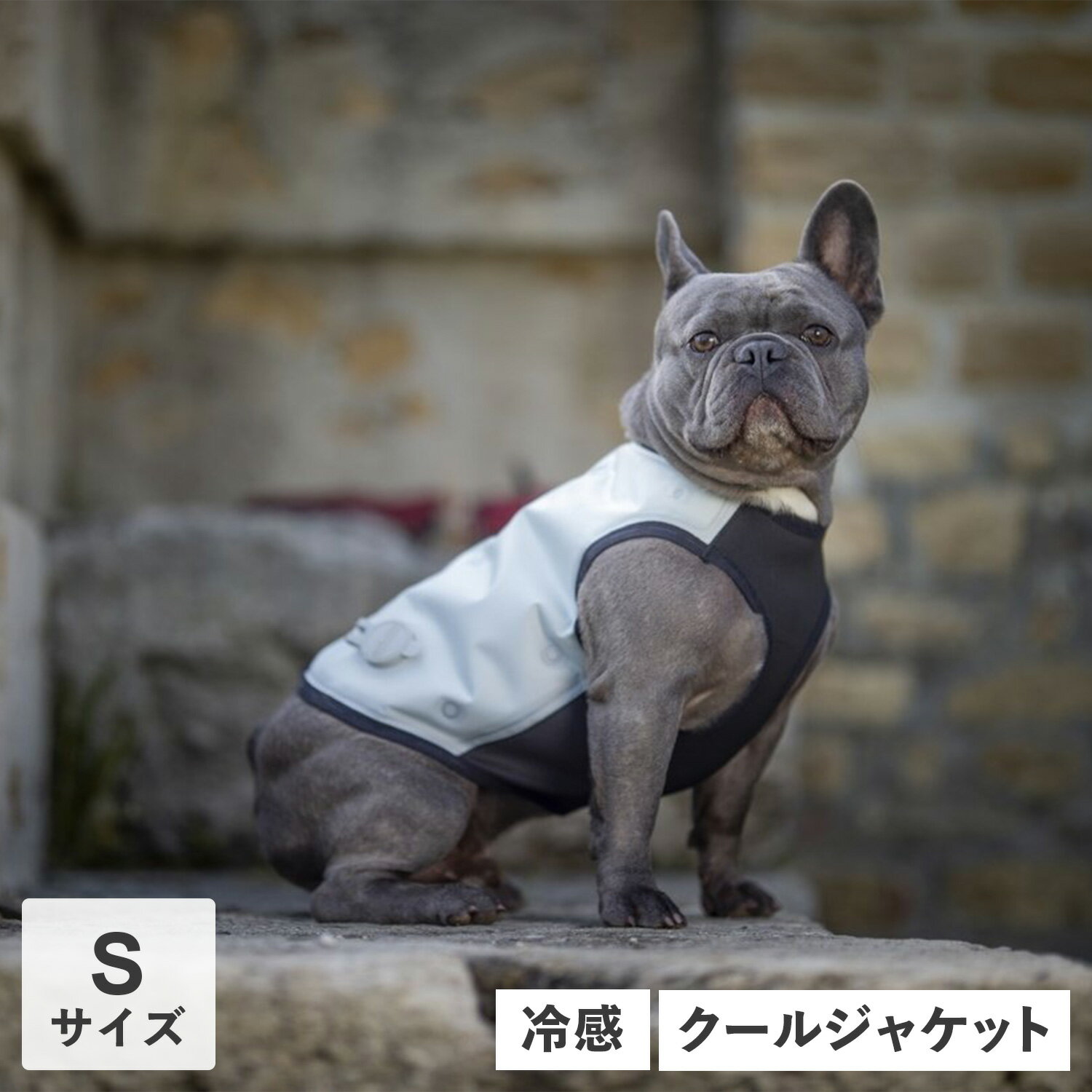 CANI COOL カニクール 犬 ひんやり グッズ 夏服 ドッグウェア Sサイズ 散歩 保冷 冷感 ...