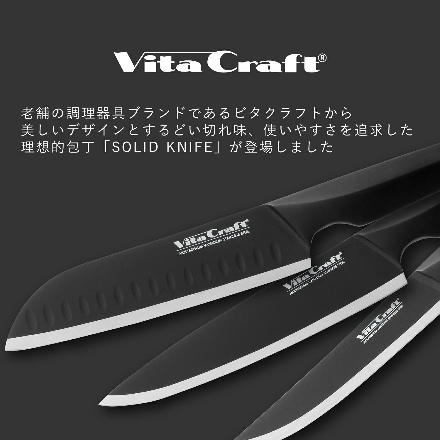 Vita Craft ソリッドナイフ ブラック...の紹介画像2