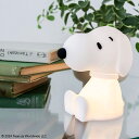 Mr Maria Bundle of Light Snoopy ミスターマリア ライト 照明 ミニライト スヌーピー LED 3Vボタン電池 授乳 手のひらサイ...